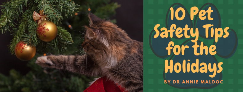 12 Marketing Tips to Grow Your Business for the Holidays
