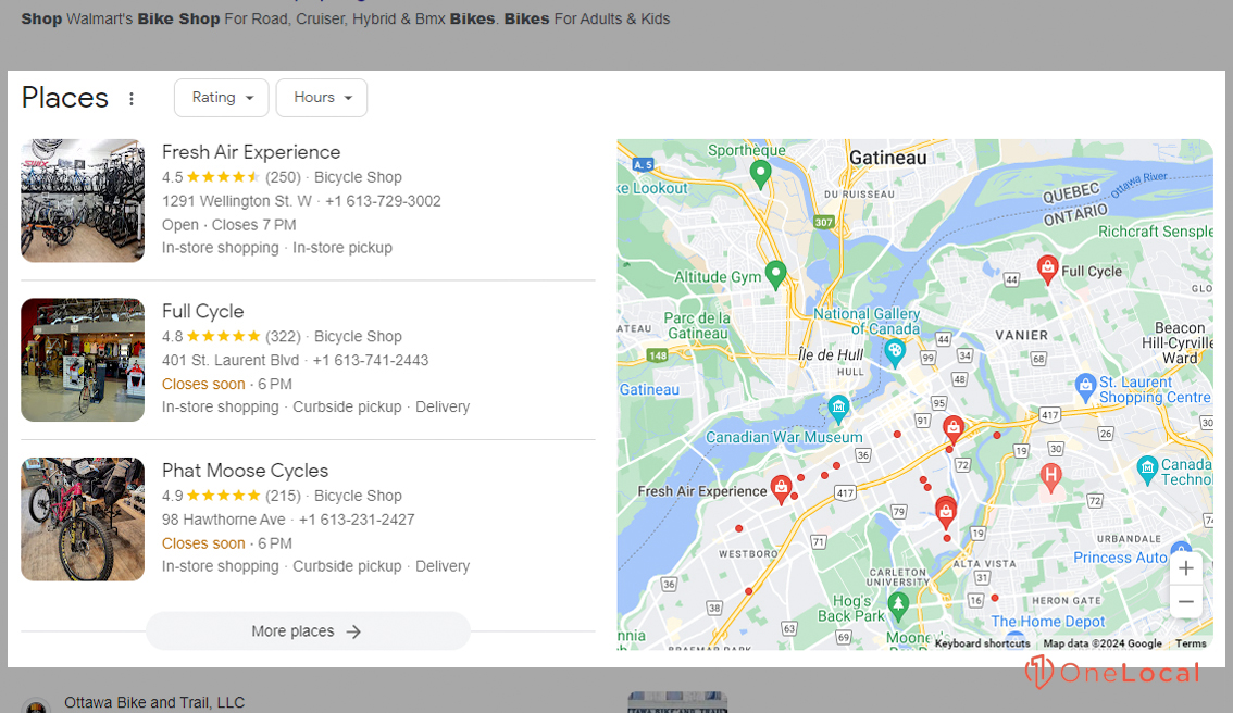 Google Maps Local Business Listings